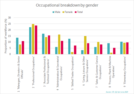 Occupation breakdown by gender