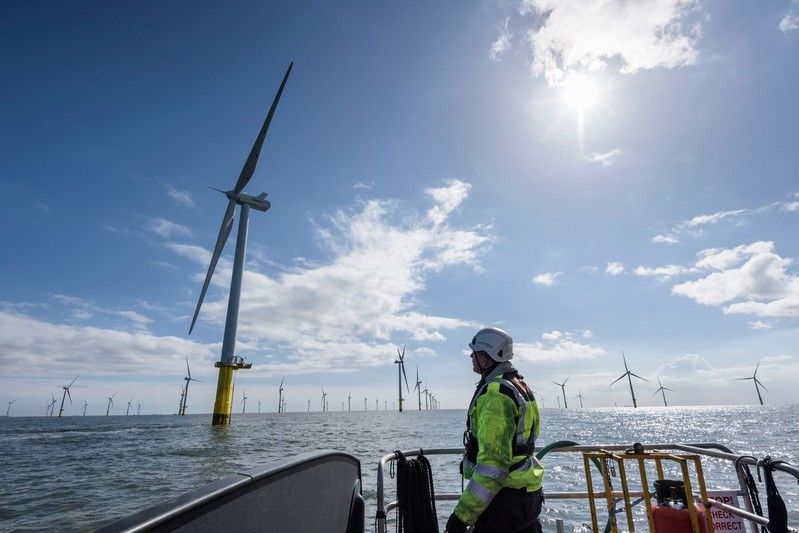 Worker looking at field of wind turbines at sea
