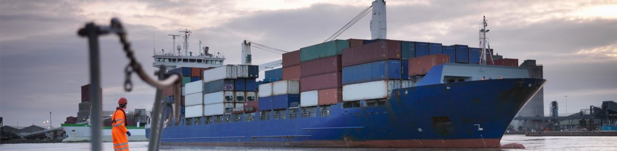 A shipyard worker stands in front of a ship unloading containers at a dock