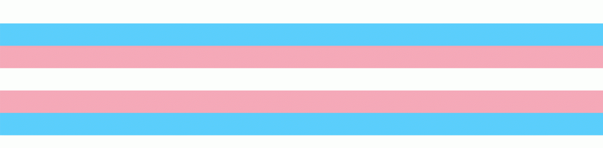 Transgender Pride Flag