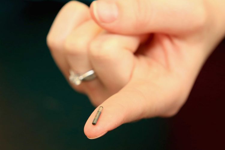 An outstretched finger holds a microchip on the fingertip