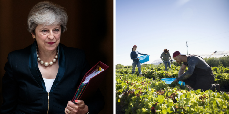 Theresa May_immigration