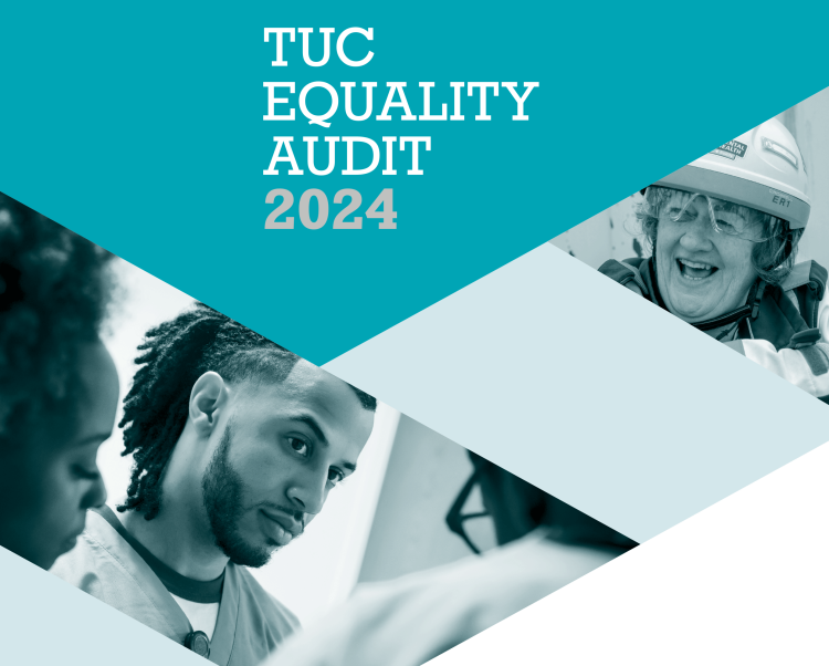 equality audit