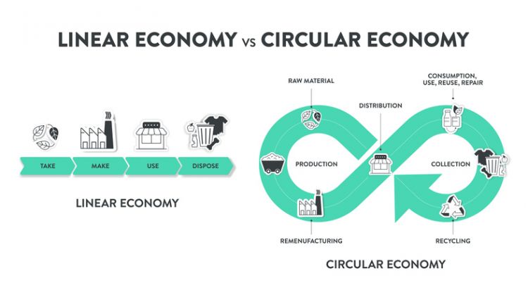 ‘llinol’ a ‘chylchol’ systemau economaidd