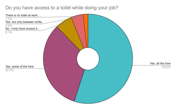 Pie chart: Do you have access while doing your job?