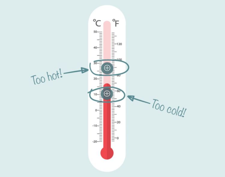 Thermometer 