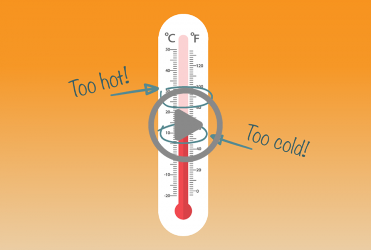 Thermometer