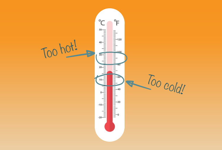 too hot too cold graphic