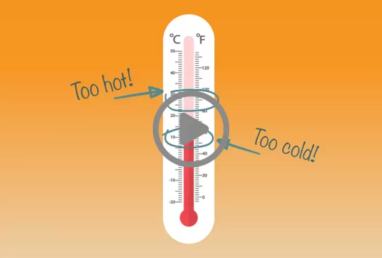 thermometer 