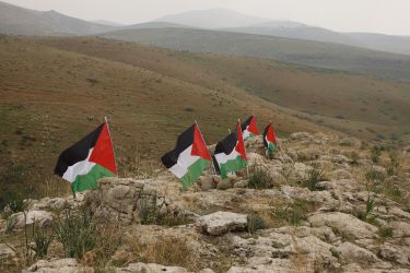 Palestine flags