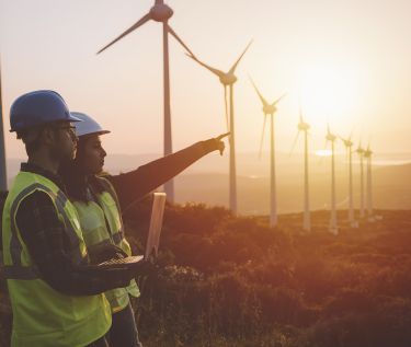 Pair of engineers in front of line of wind turbines