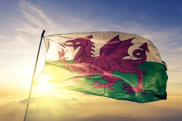 Expanding our Welsh language services on St David’s Day