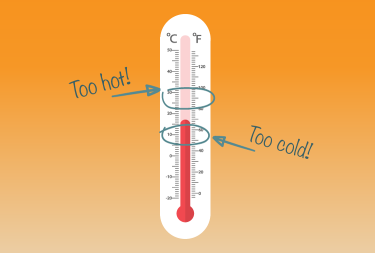 thermometer